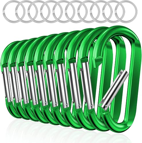 sprookber 3" Carabiner Clip Keychain, D Ring Cari Clip, Key Clip Caribeener, Spring Snap Hook for Bag/Buckle, Set of 10