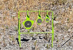 Bersagli Per Carabina Ad Aria Compressa - Foto 9