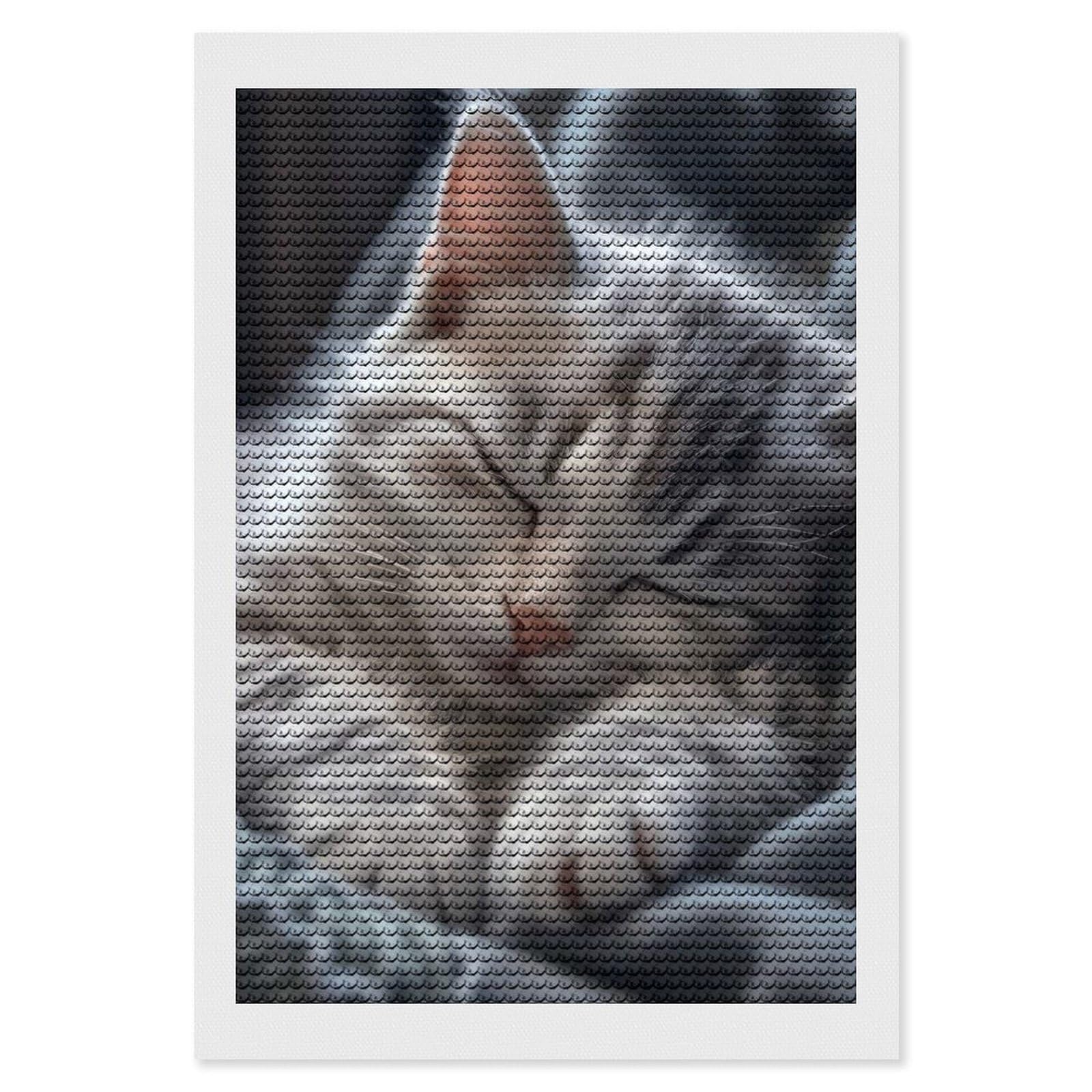 Junmoney Cute Kitty Cat Sleeping Diamond Art Canvas 8"x12", Easy Handmade Project, Complete Accessories, Bedroom Decor, Birthday Gift