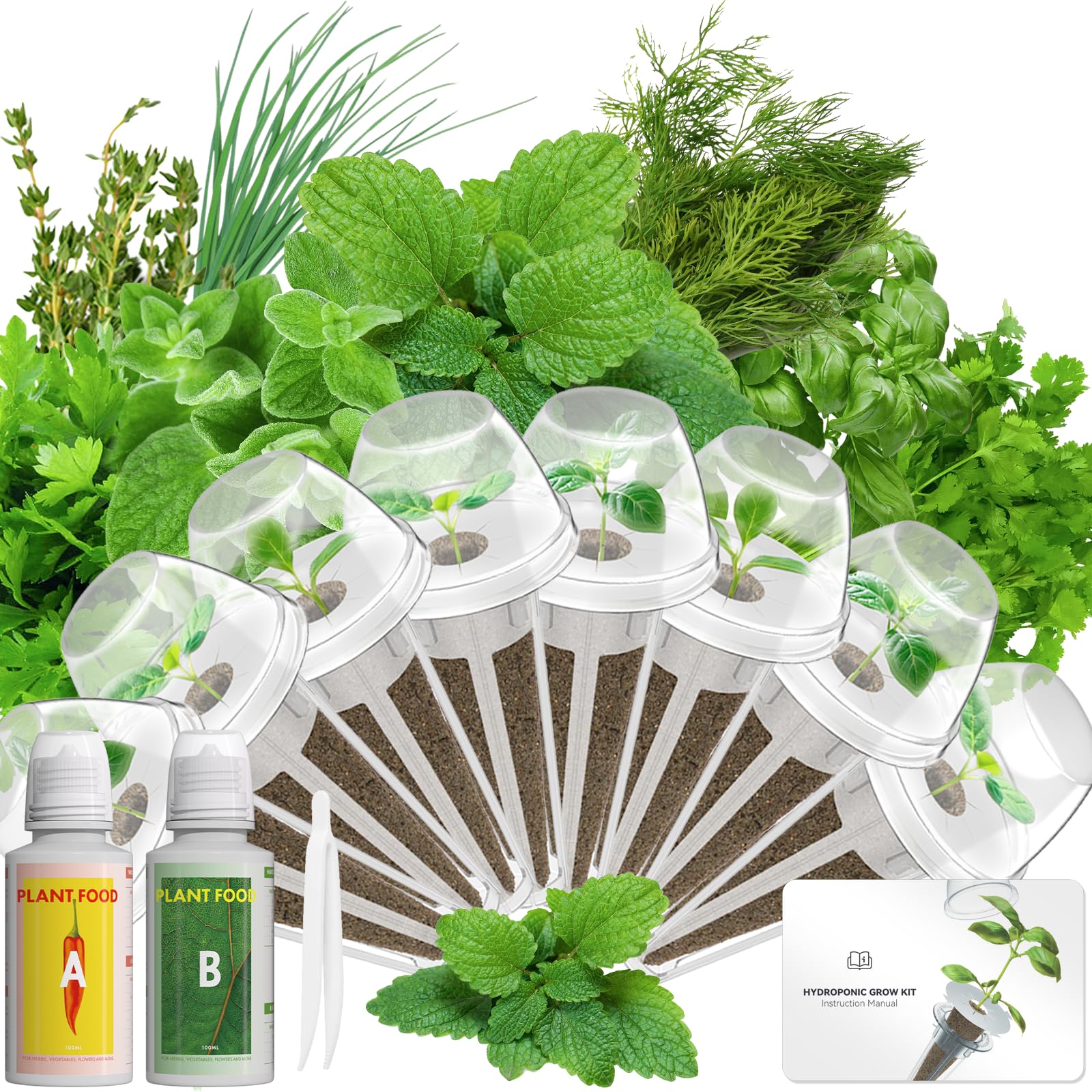 LYKOCLEAN Gourmet Herb Seed Pod Kit