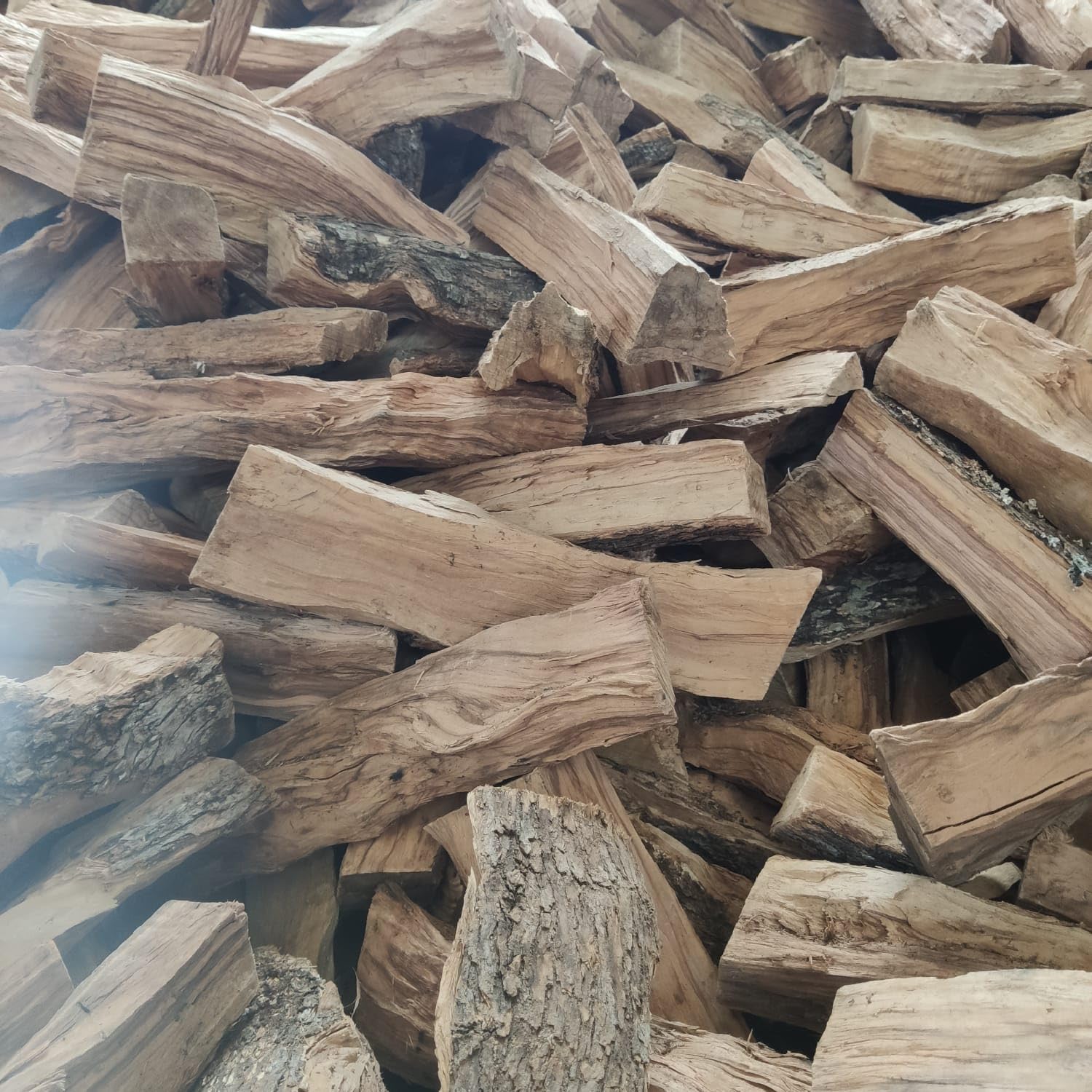 Legna da Ardere di Ulivo su Bancale 700 kg – Legna per Camino, Barbecue e Pizzerie – 100% Ulivo Made in Italy – In Omaggio 4 Sacchi di Scaglie di Ulivo Accendifuoco