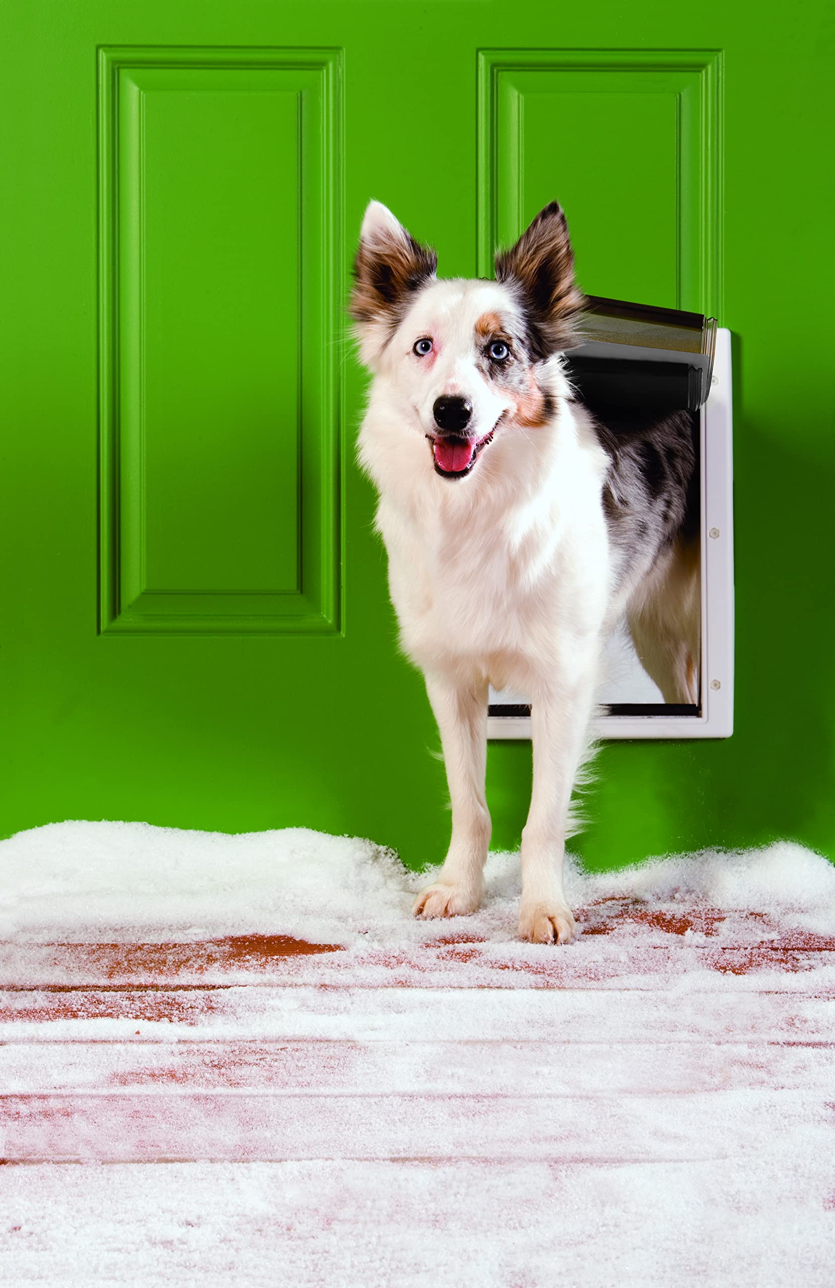 PetSafe Gattaiola per Condizioni Meteo Estreme in plastica ad Alta Efficienza Energetica per Cani e Gatti - Sistema Flap Isolato - Telaio Resistente, Media (M)