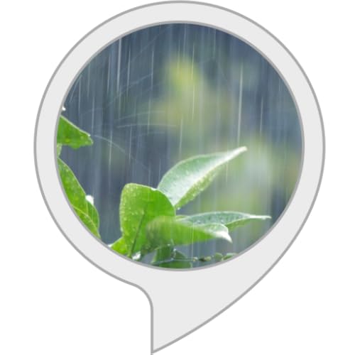 五月雨(さみだれ)の音 五月雨(さみだれ)の音