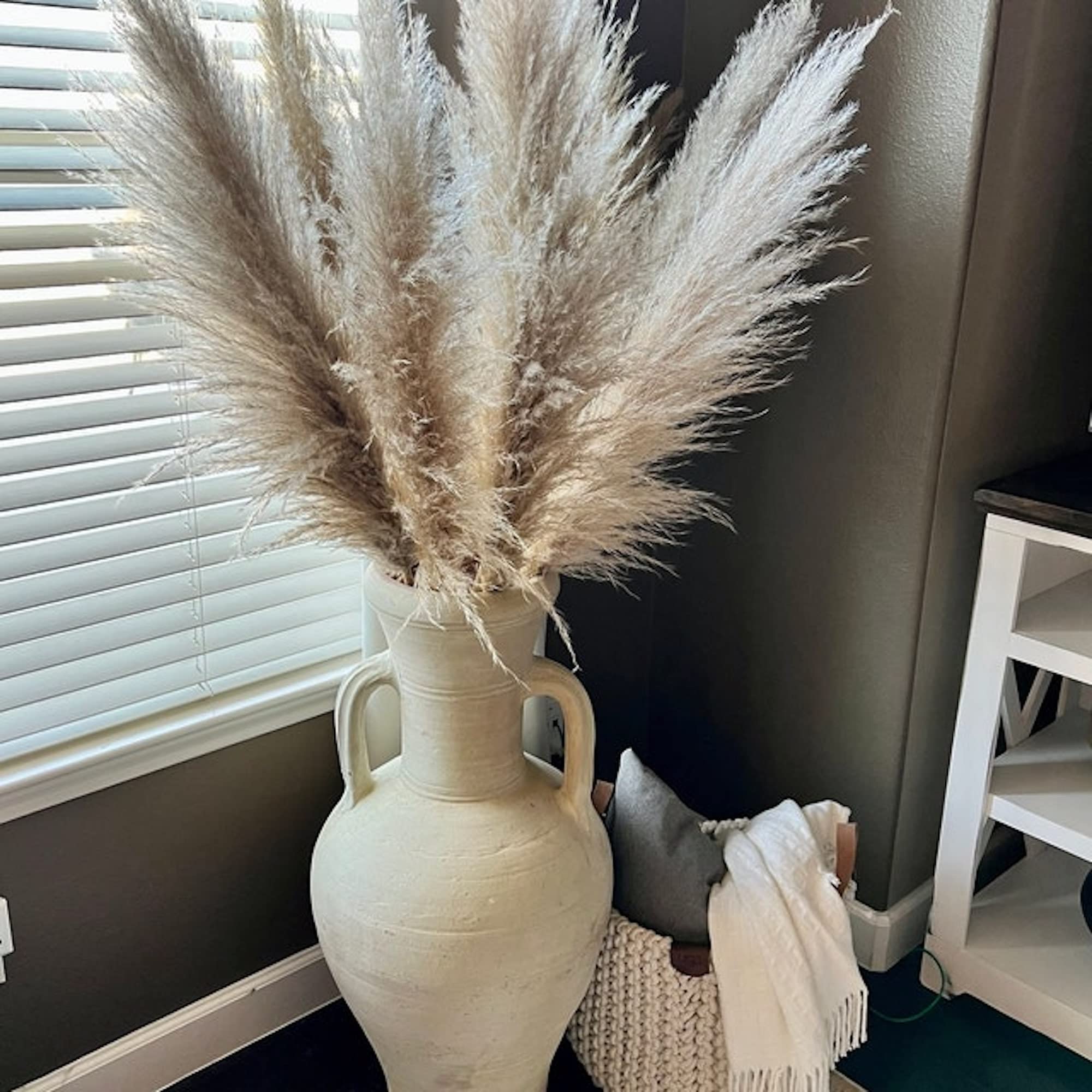 3 stems Extra Large Dried Pampas Grass 48" For Interior Decor Buy