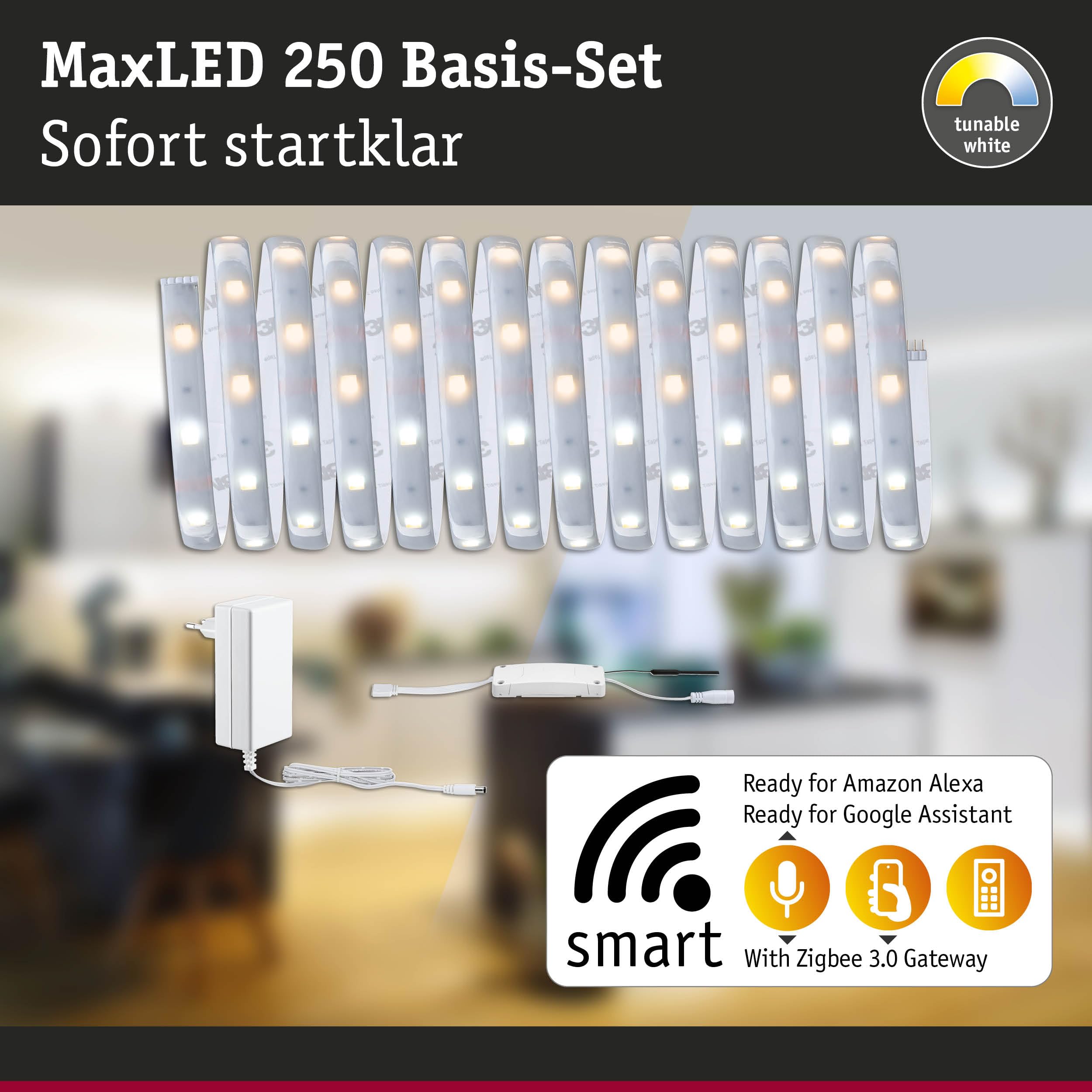 Paulmann 78870 Strip LED MaxLED 250 set básico SmartHomeZigbee TunableWhite 5m IP44 18W 230/24V 1350lm plateado, tira luz LED, resistente salpicaduras