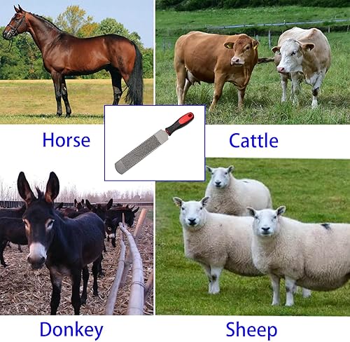 Miniatura 6 de Raspa de pezuñas de 12 pulgadas, lima de herradura con mango de goma, herramienta de archivo de acero al carbono, adecuada para