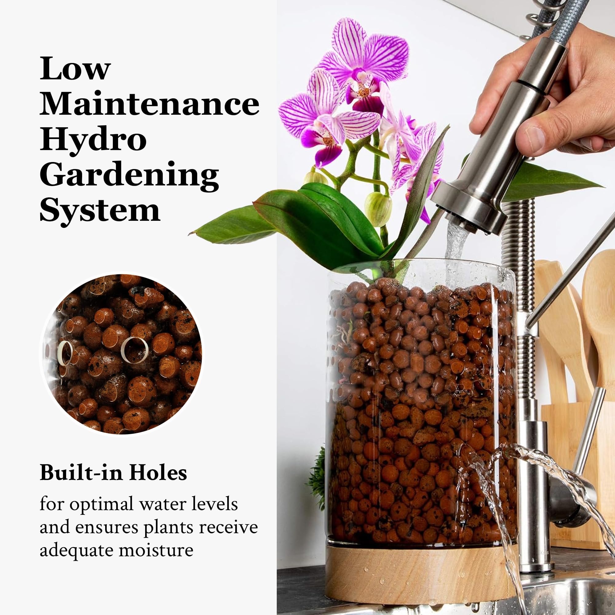 Pot & Pebble - Maceta de vidrio C1 con base de madera - Maceta de vidrio para interiores con agujeros de control de nivel de agua - Cultiva plantas en guijarros de arcilla LECA/medios similares