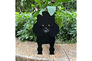 Light Of The City Black Poodle Planter