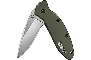 Kershaw Scallion Knife