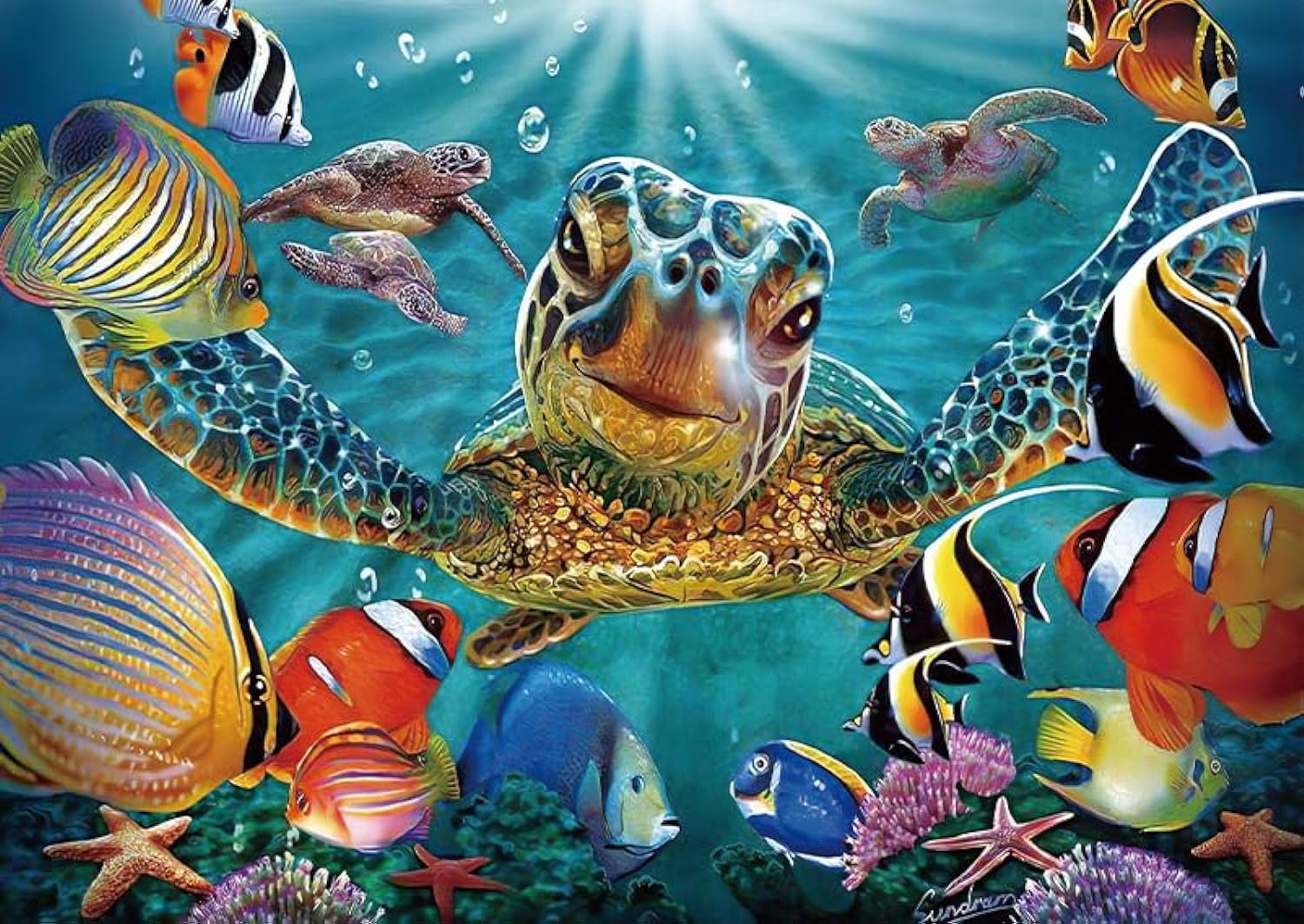 Giant Turtle Jigsaw Puzzle 1000 Pieces