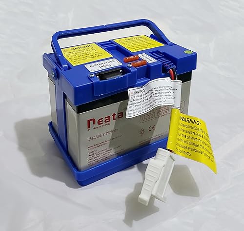 Batería de 12 V para niños con pilas para ruedas de acción para Disney Frozen Sleigh para Batman Batmobile/Motion Trendz para Yamaha Raptor 700R (12