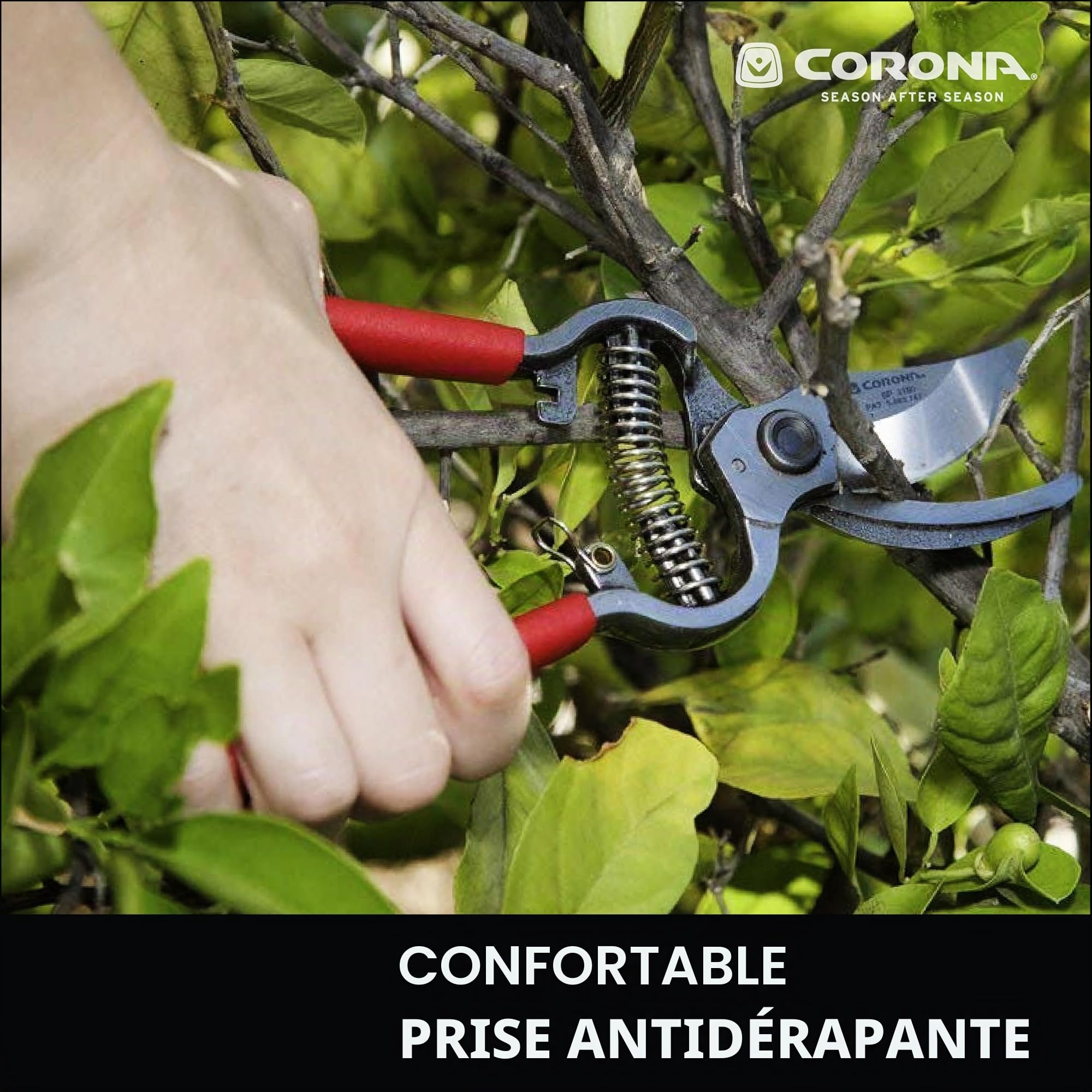 Heavy-Duty Bypass Pruner BP 3180D