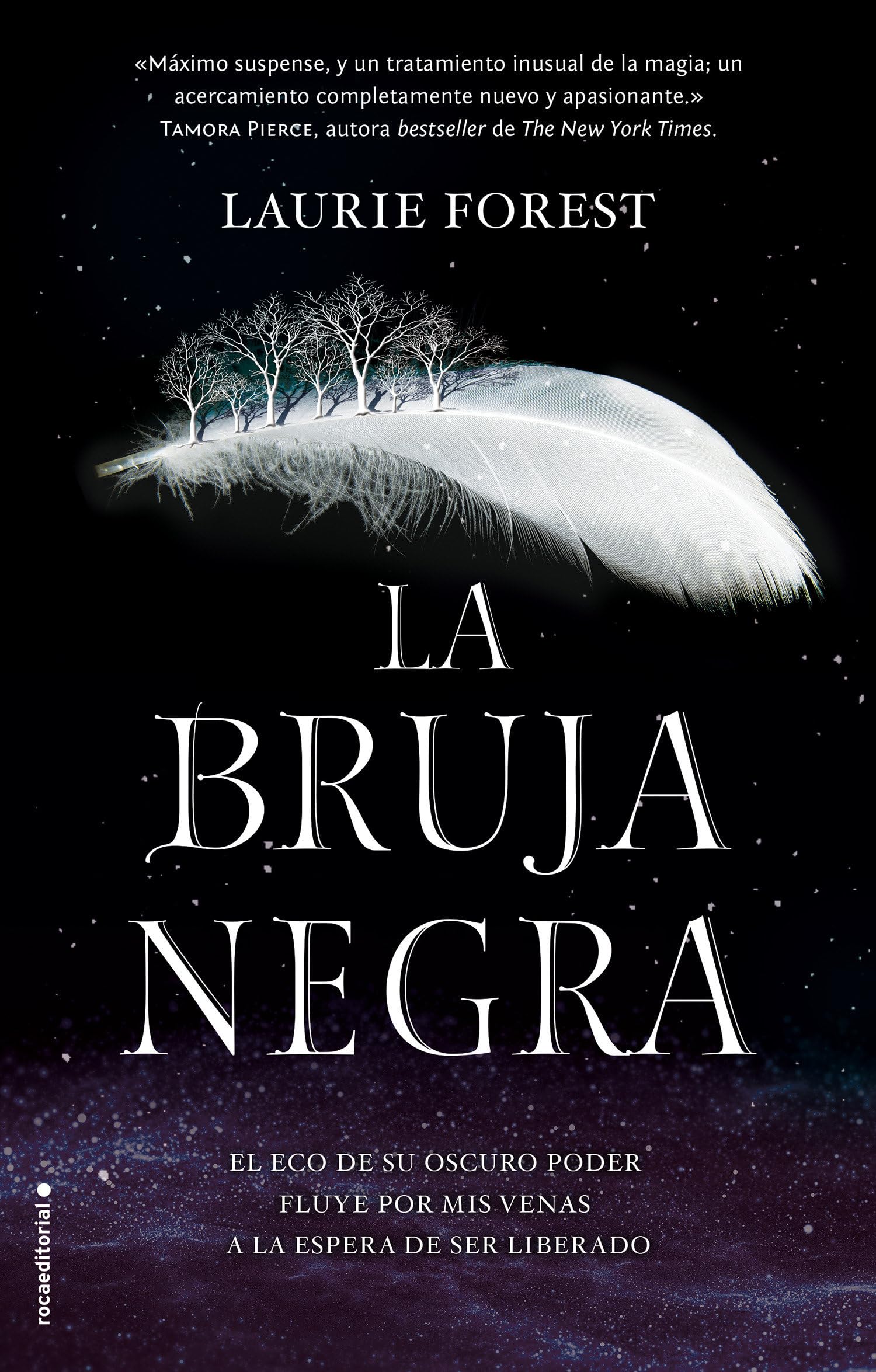 La Bruja Negra (Las Crónicas de la Bruja Negra 1) (Roca Infantil y Juvenil)