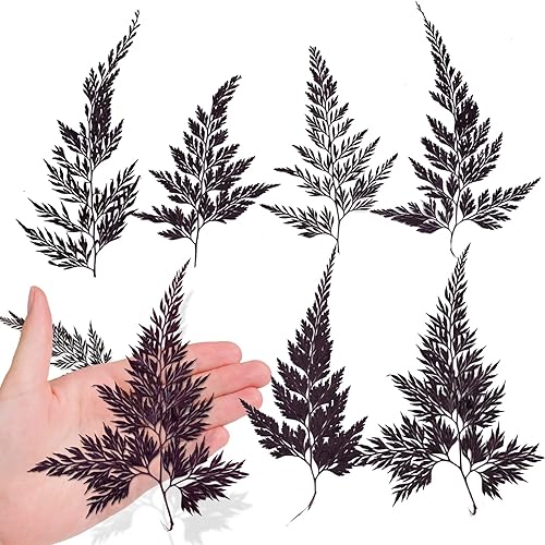 ALJ 42 hojas de helecho prensadas, hojas de helecho secas de color morado natural, hojas prensadas para arte de resina, decoración de adornos de