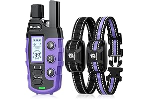 Halo 2 Dog Collar: The Ultimate Training Tool for Canines of All Sizes