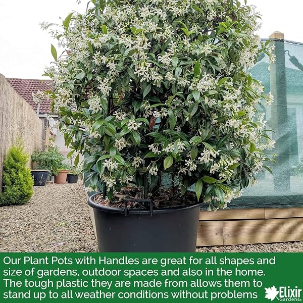 Elixir Gardens Large Strong Outdoor Plastic Plant Pot/Tree & Shrub Pots with Handles | 30, 35, 50, 75, 80, 95, 110 & 130 L Plastic Planter Pots in 1-10 Quantities | 35 Litre x 5 - 4