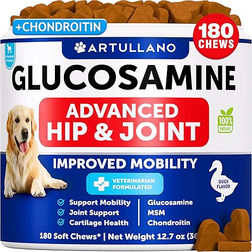 Glucosamina para perros - Suplemento de cadera y articulaciones para perros con artritis - Masticables con condroitina, aceite de cáñamo, MSM -
