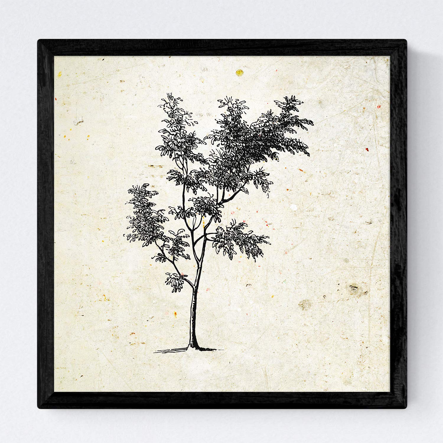 Nacnic Set de cuatro láminas de arboles. Arboles sin y con hoja en tamaño 20x20 cm, fondo papel antiguo vintage Poster papel 250 gr y tintas de alta calidad. Con Marco