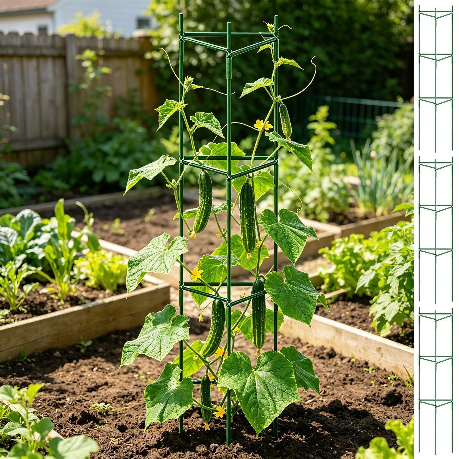 Gabbie per pomodori da giardino, regolabili, espandibili, resistenti