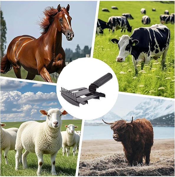 Cepillo de caballo – Peine desenredador de ganado – Cepillo equino para caballo cabras granja al aire libre ovejas mascotas ganado establo - 4