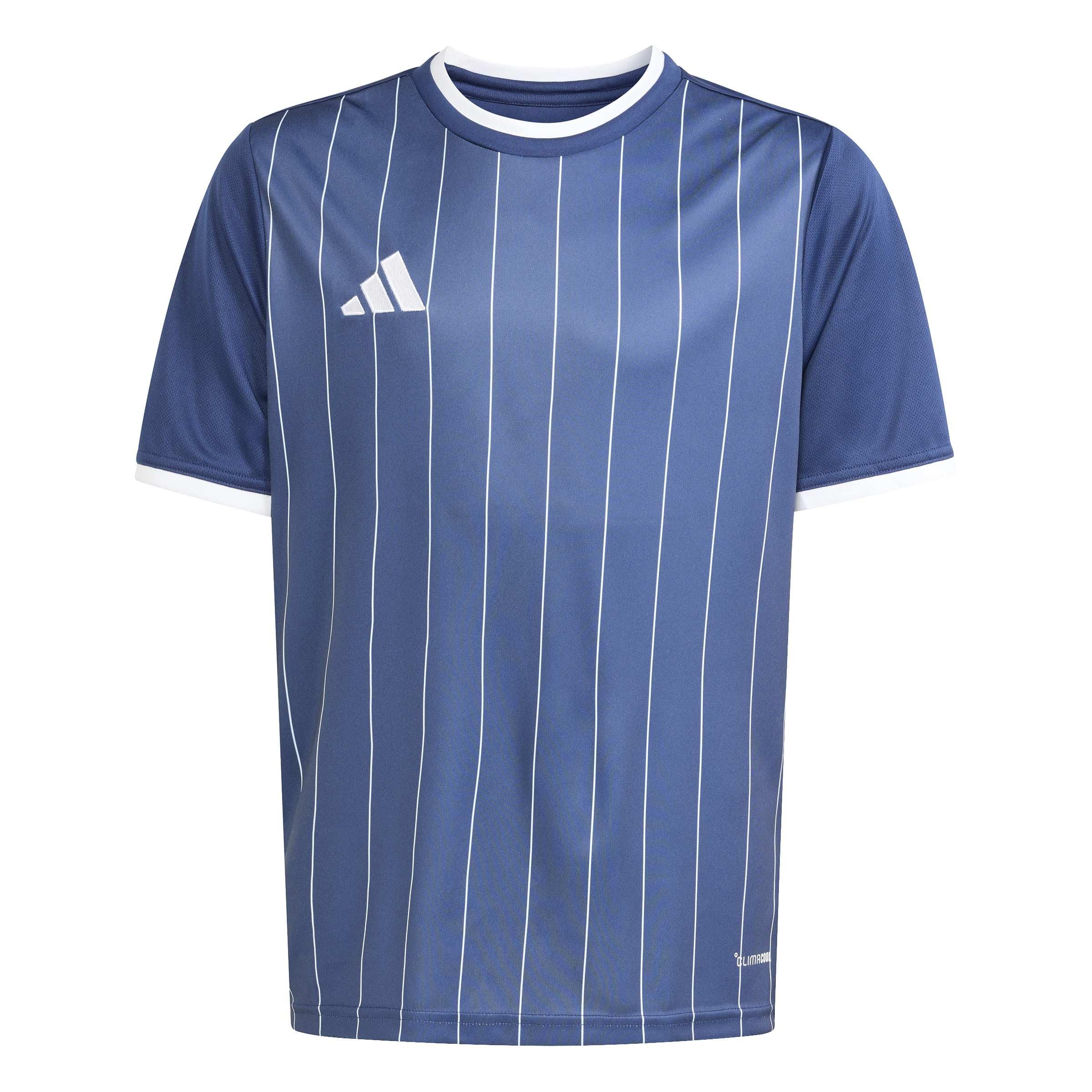 adidas Unisex Kids Entrada26 Graphic Jersey Kids Shirt, Team Navy Blue 2/White, 9-10 Years