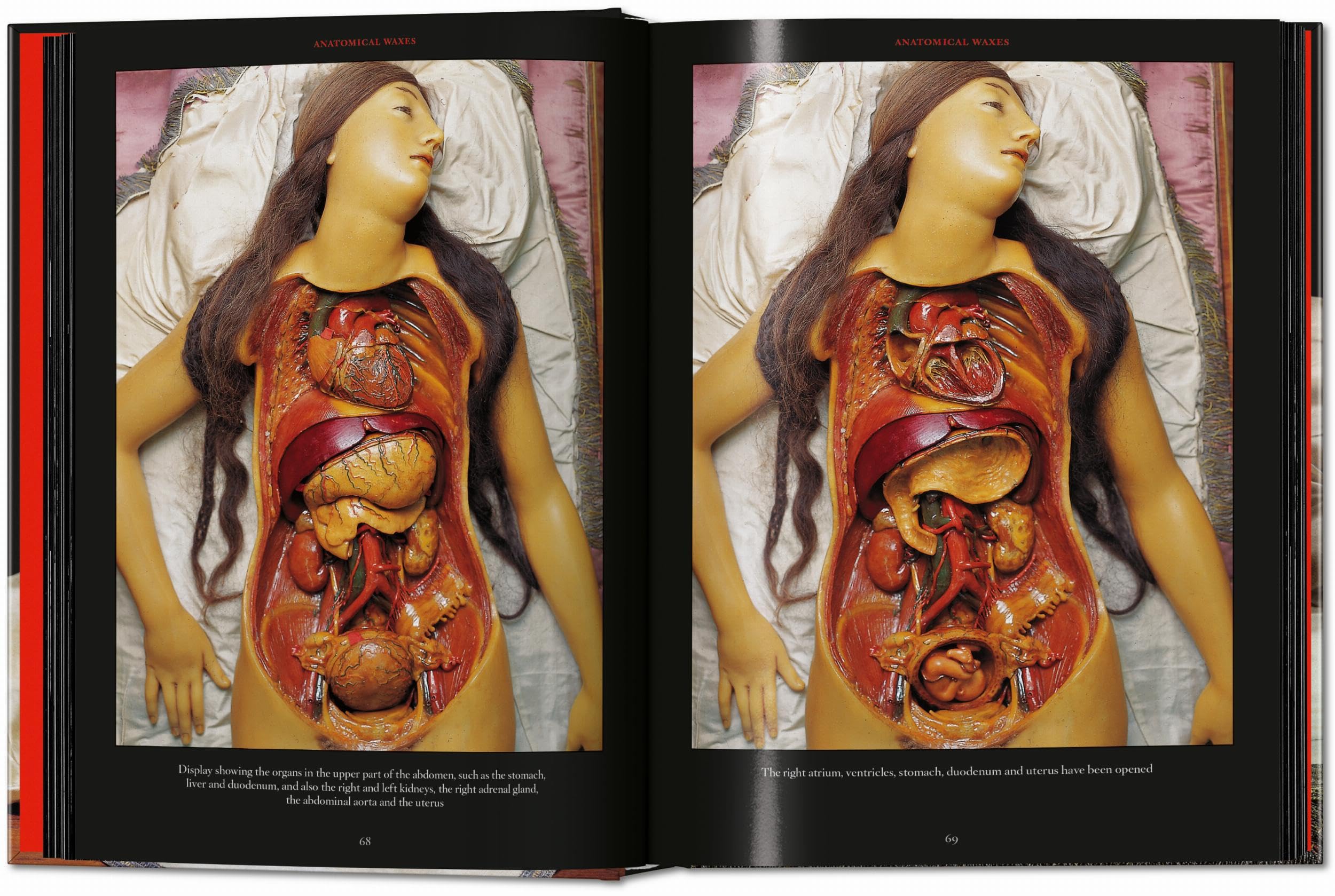 Anatomical Waxes. 45th Ed. (45th Edition)