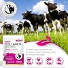 Polvo de Péptidos de Colágeno, 454 Gram (41 Porciones) - Colágeno Hidrolizado, Ácido Hialurónico, Suplementos de Colágeno Alimentado con Pasto para Mujeres y Hombres, No Transgénico Polvo 454 Gram (Paquete de 1) 3