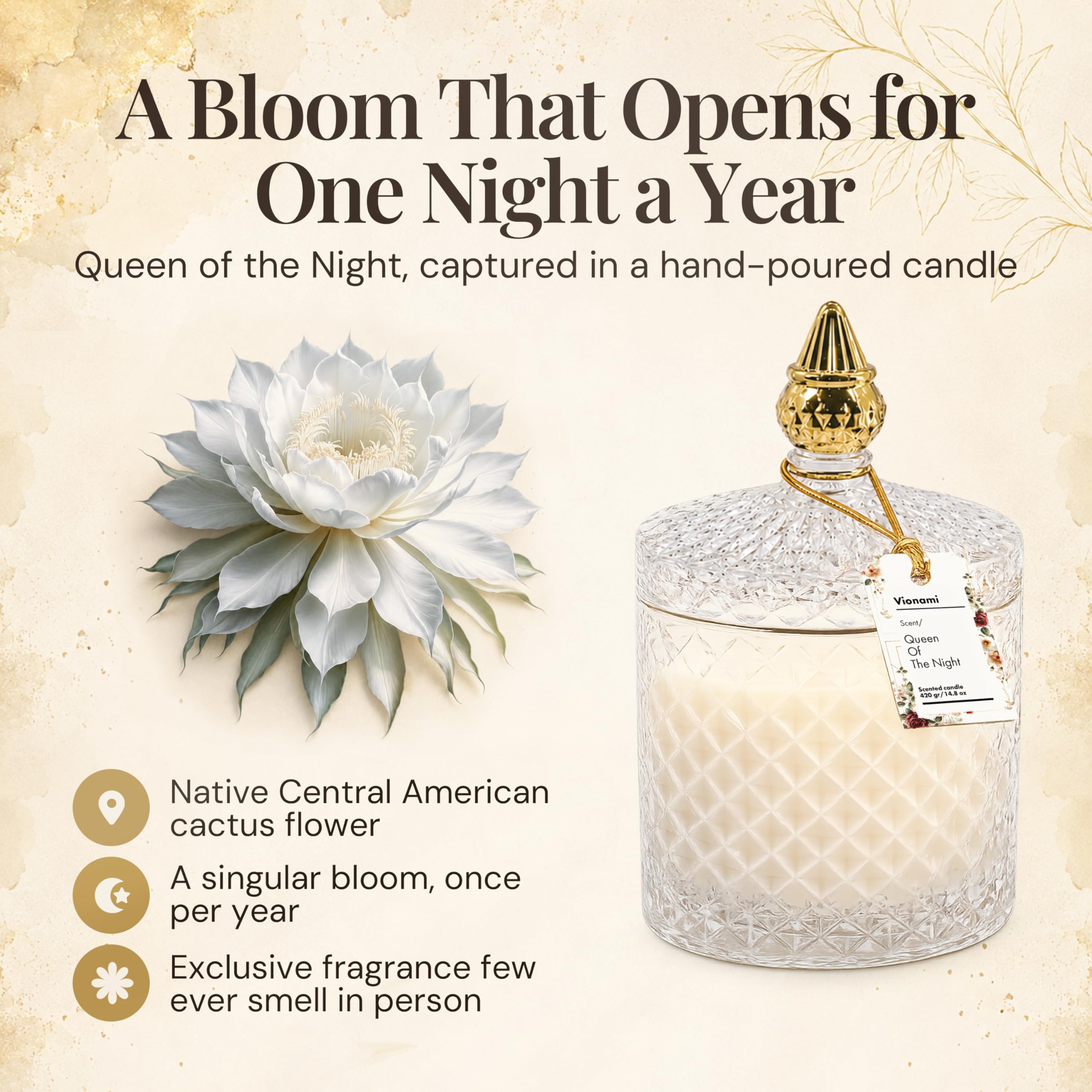 Luxuriöse Duftkerze, Geschenk – Königin der Nacht, seltener Blumenduft in elegantem Glas, langlebige Sojawachskerze, Geschenk für jeden Anlass, 420 ml, ideal für Frauen und Heimdekoration