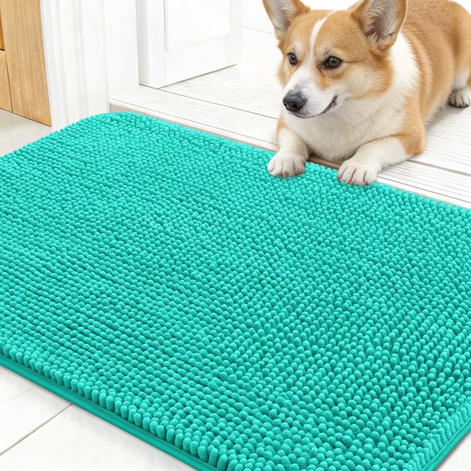 OLANLY Dog Door Mat for Muddy Paws 24x16, Super Absorbent Chenille Mud Mat
