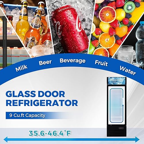 Miniatura 5 de Refrigeradores comerciales de 9 pies cúbicos verticales - Refrigerador de bebidas con puerta de vidrio con luz LED, estantes ajustables, ruedas