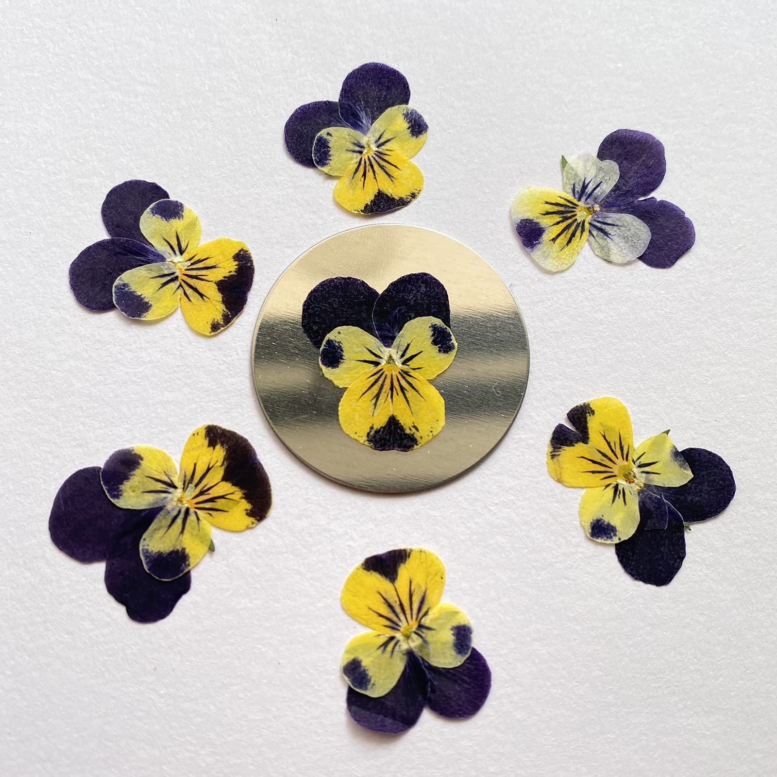 Fleurs De Tournesol Séchées Pressées Miniatures - Pour Résine, Bijoux, Savon - Lot 12 Ou 24 Pièces