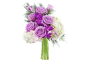 KaBloom PRIME Orchid Delights