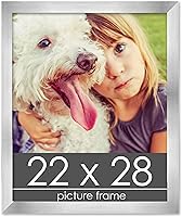 Vista 89 de Marco de 28 x 36 pulgadas de madera de peltre plateado con plexiglás acrílico UV, parte trasera de tablero de espuma y accesorios incluidos