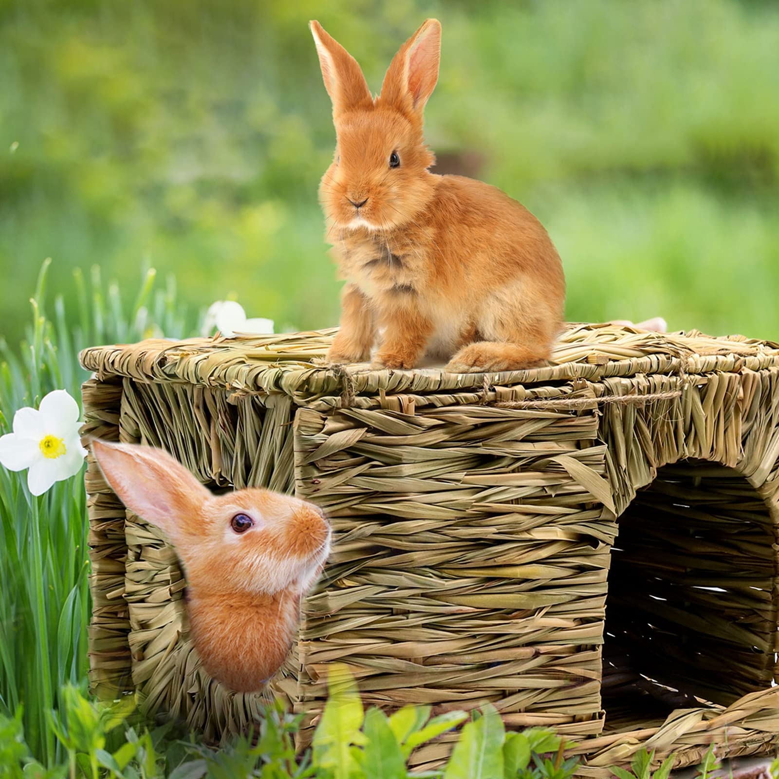 HYLYUN Très Grande Maison Foin Lapin Naturellement Séchée Maison d'herbe Tissée Pliable pour Lapin, Cochon d'Inde, Chinchilla, Furet Jouer et Dormir