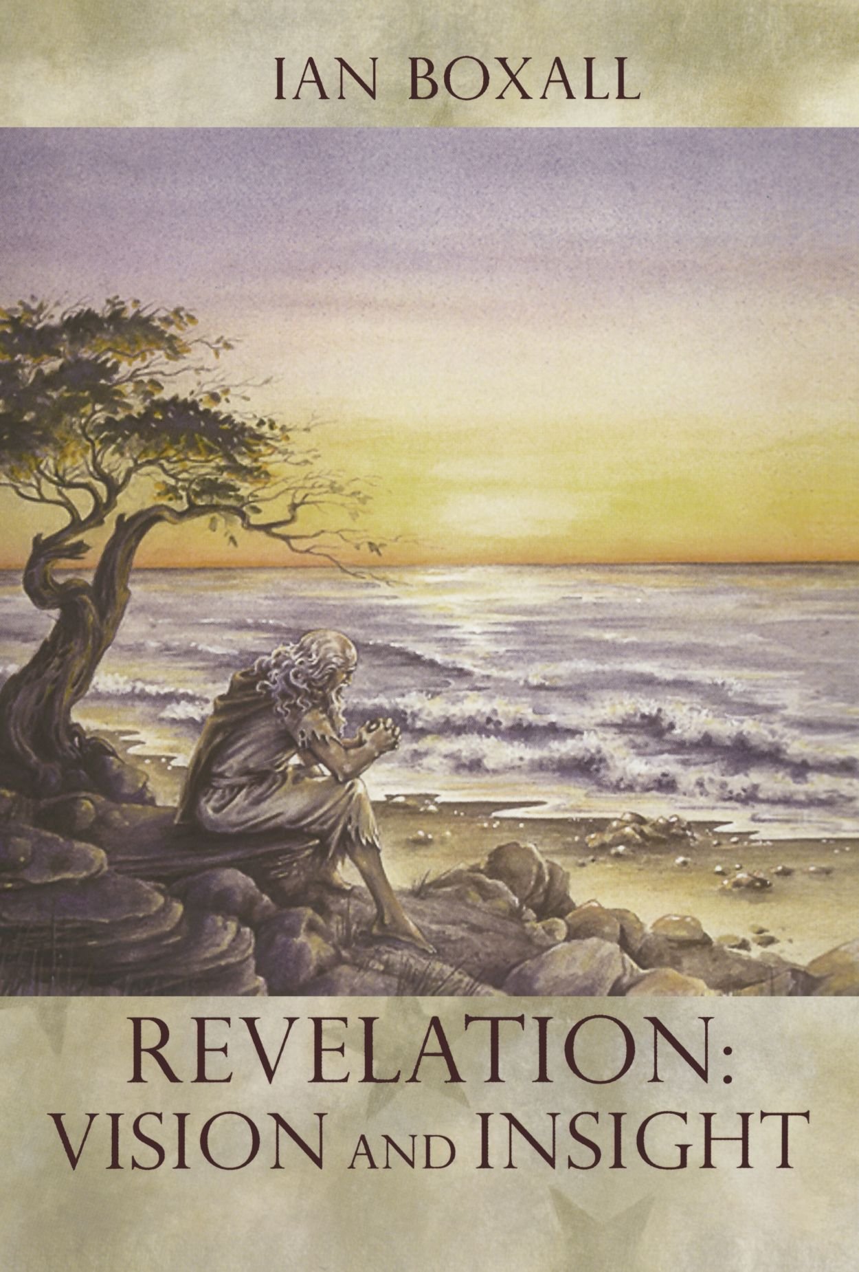 Revelation: Vision and Insight: Vision and Insight - An Introduction to the Apocalypse