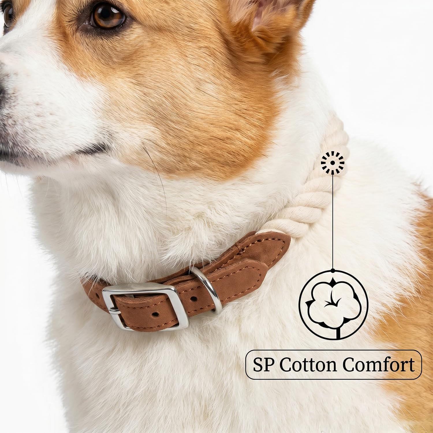 Mile High Life - Collare per cani in corda di cotone di alta qualità, con fibbia ad ardiglione