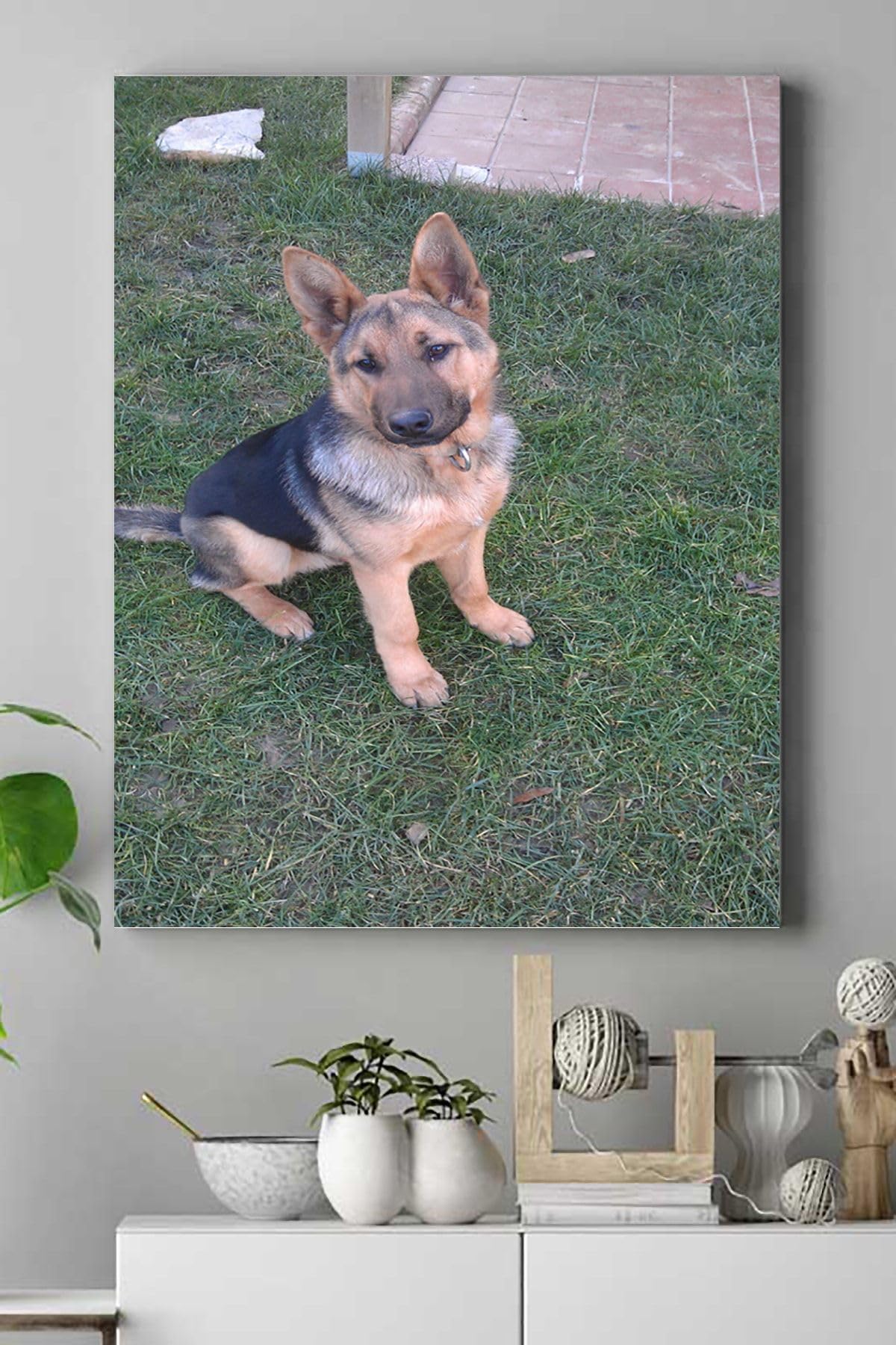 Postermanya (pster16781) Kurt Köpeği Hayvan Kanvas Tablo 2 50 x 70