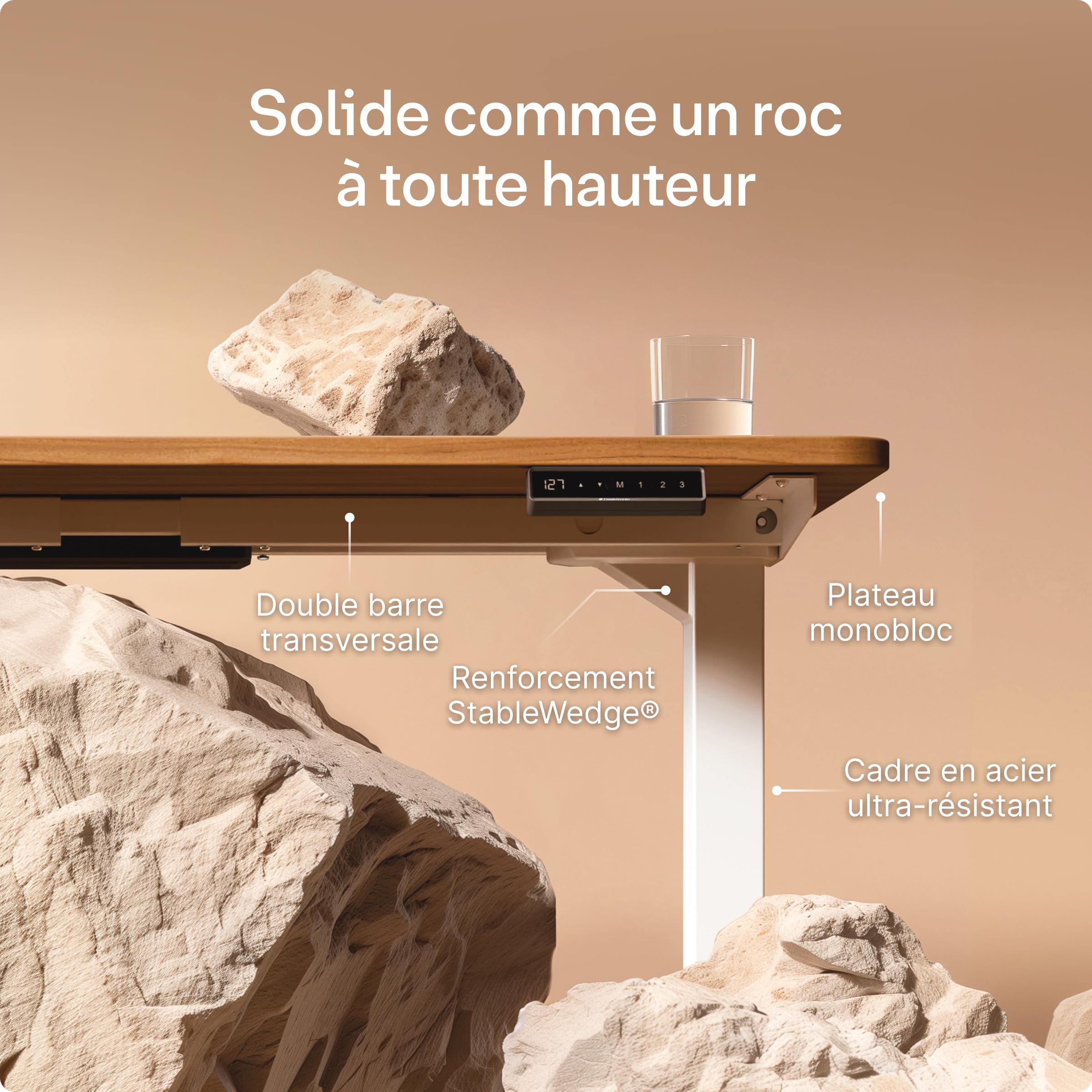 Desktronic Bureau Assis Debout Électrique 160x80 cm – Double Moteur Silencieux, Stabilité Renforcée, Réglable en Hauteur, Mémoire, USB-C HomePro