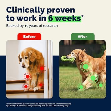 YuMOVE Advanced Vet Strength Hip & Joint Supplement for Dogs - ActivEase Green Lipped Mussel, Glucosamine, Hyaluronic Acid & Omega 3 for Serious Mobility Support (90ct Chews, Advanced Strength)