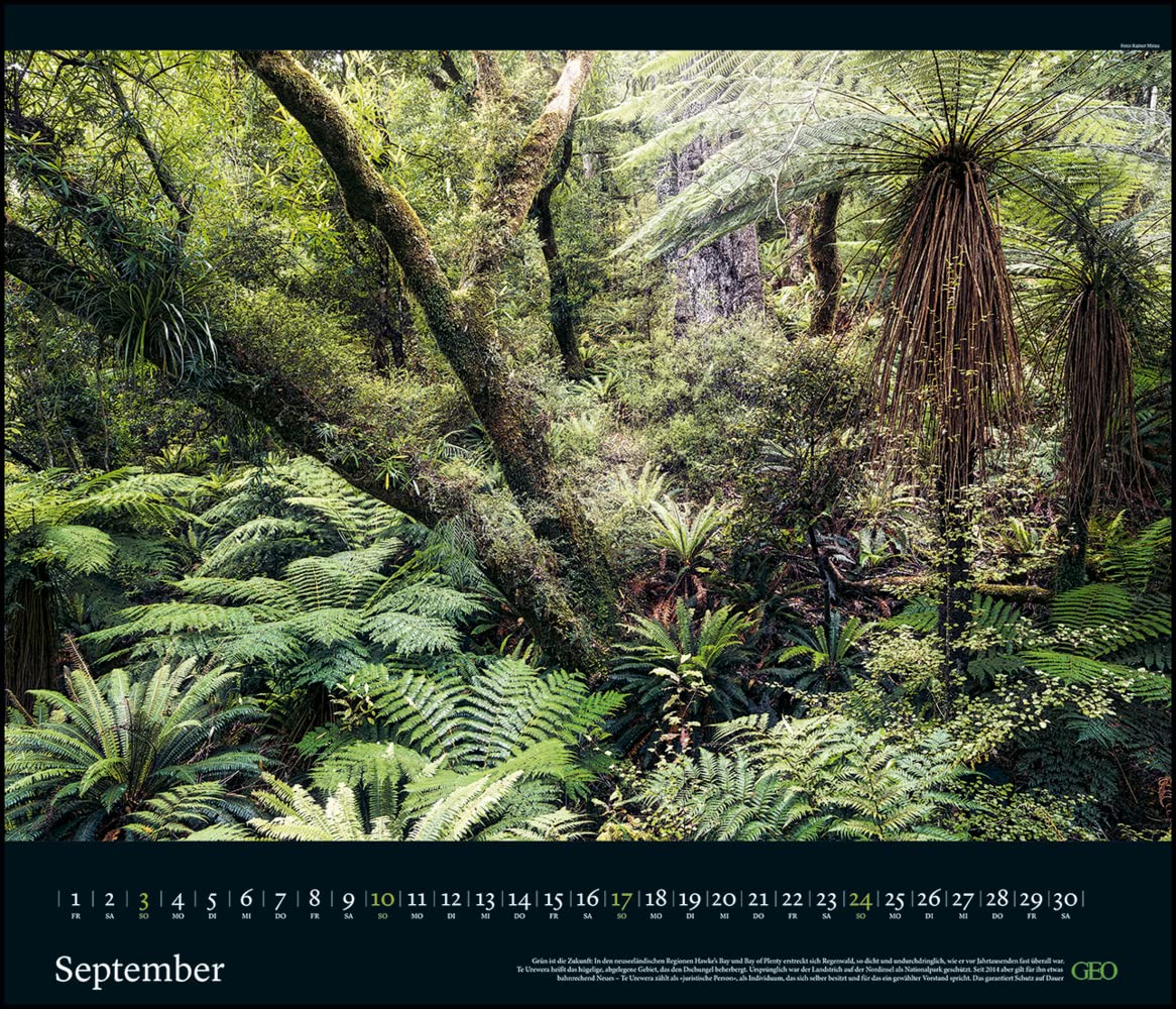 GEO Edition: Kräfte der Natur 2023 - Wand-Kalender - Poster-Kalender - 70x60