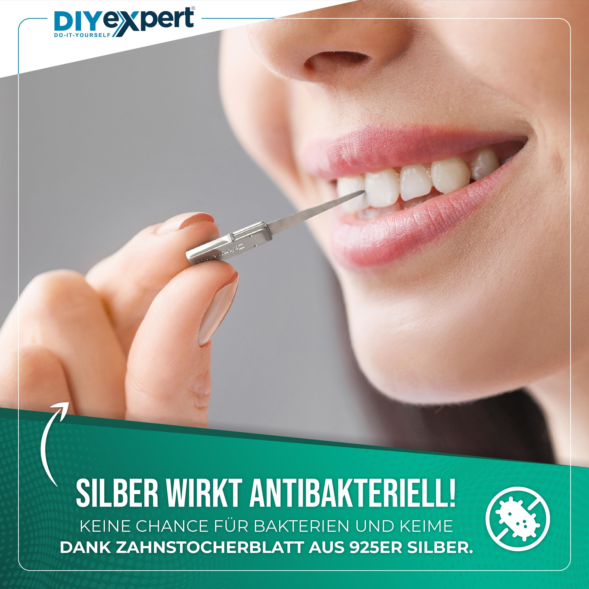 Home Xpert zahnfreund Dental limpiador/Tooth Pick herramienta/longitud 4 cm, incluye mango/5,5 cm longitud total con caso/Platinum- con Real de color hoja de plata, 12 Item