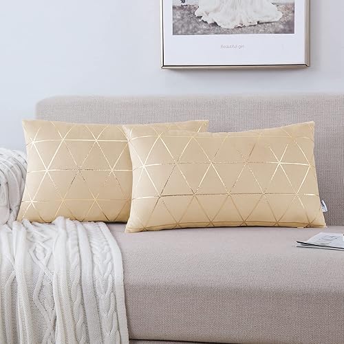 NordECO HOME Fundas de almohada decorativas, juego de 2 fundas de almohada de terciopelo suave para cama, automóvil, decoración del hogar, 24 x 24