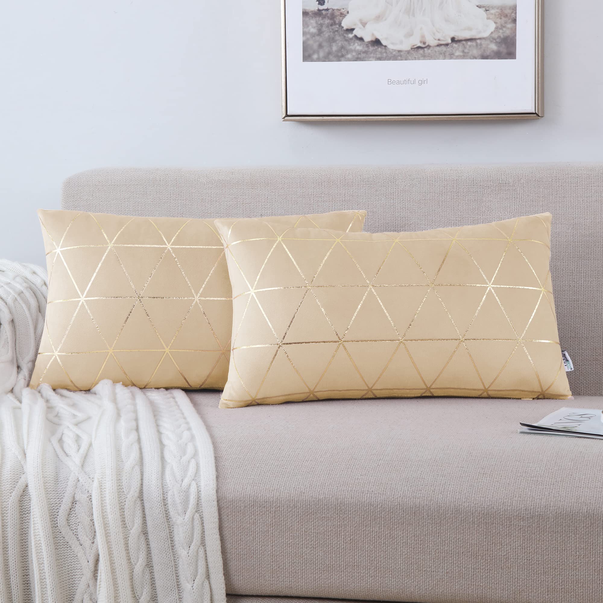 NordECO HOME Pack of 2 Throw Pillow Covers Cases - Square Decorative Cushion Covers for Sofa Couch Bed Home Decoration, 12 x 20, Beige Brown