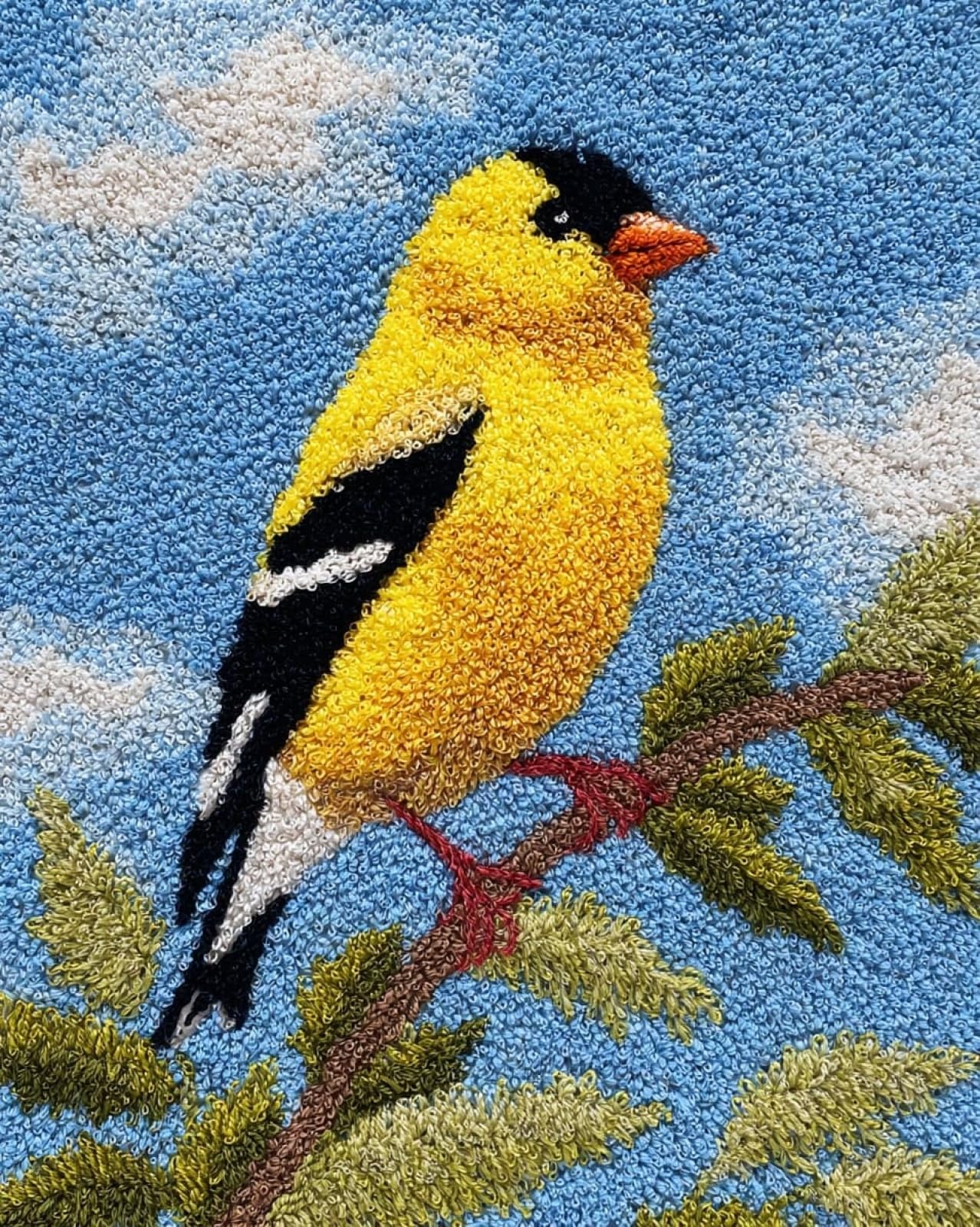 Wallphantom 004 Rug Making Kit For Adults Beginners,Oriole,Latch Hook Cushion Kits,Carpet Embroidery Needlework Crocheting,Tapestry For Home Decoration,80X115cm