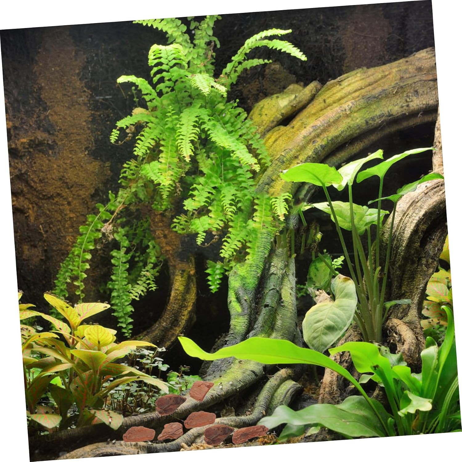 1bag Chameleon Substrate Reptile Tank Background Reptile Bark Bedding Decor Tree Bark Chips Terrarium Bedding Tank Accessories