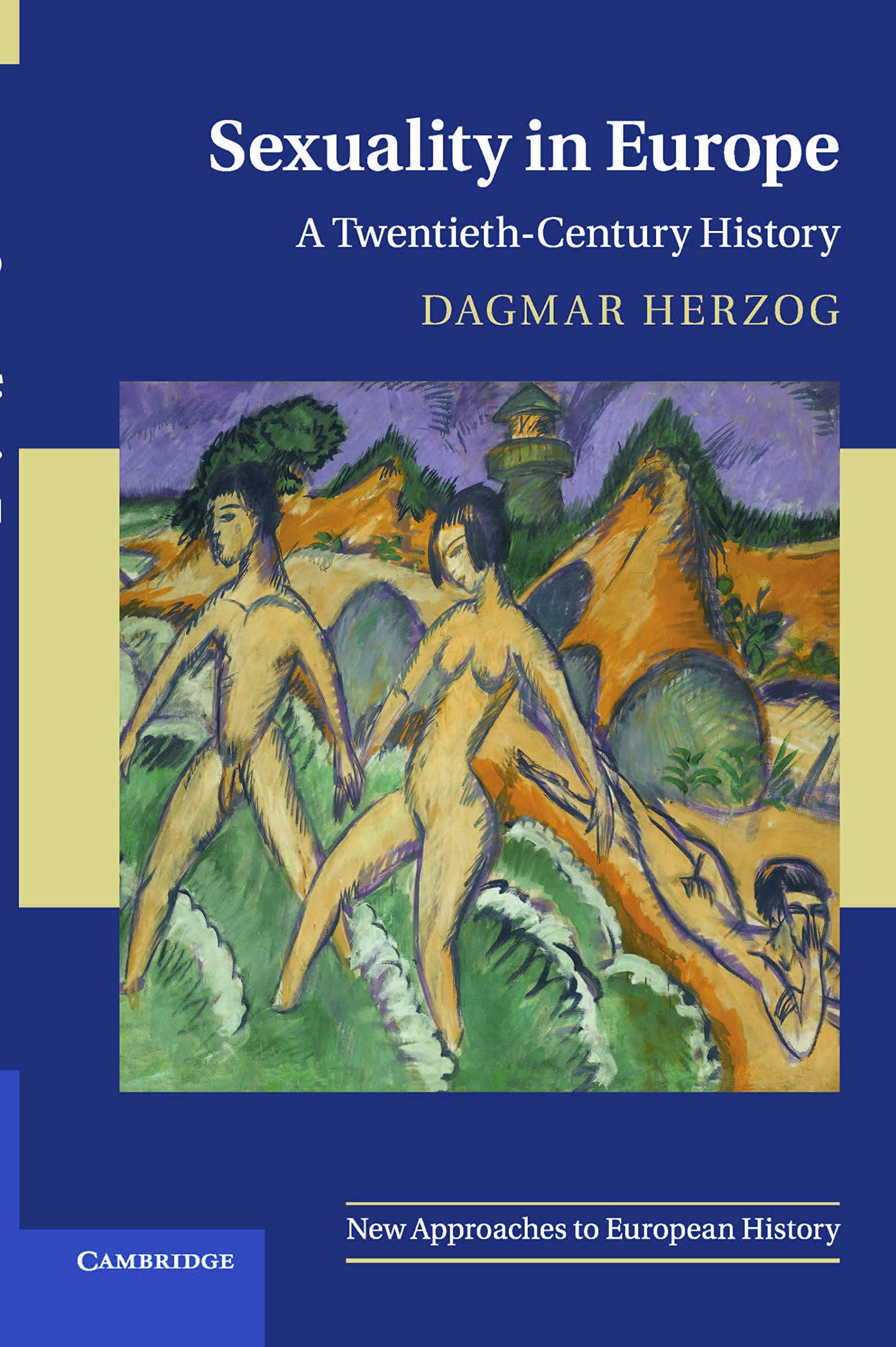 s**uality in Europe: A Twentieth-Century History: 45 (New Approa