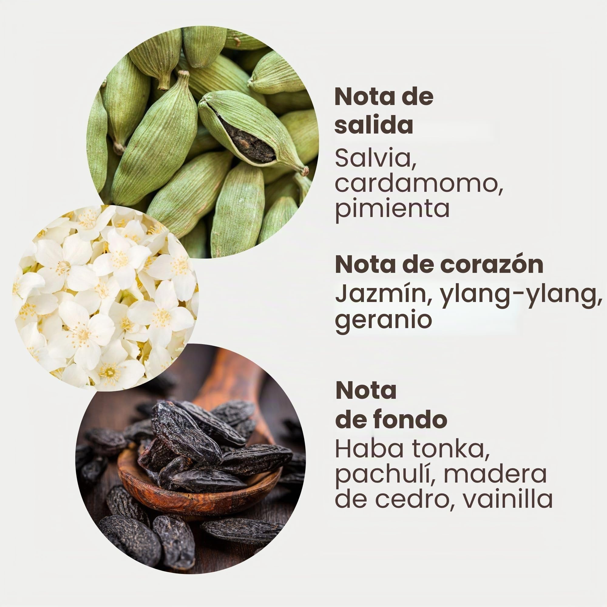 Jean & Len Hand & Body Cleanser Cardamom & Tonka en bolsa de recarga, para una experiencia de limpieza aromática, aroma exótico y especiado, jabón líquido de recarga, vegano, 1,5 L