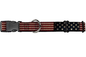 Buckle Down Vintage US Flag Stretch Martingale Dog Collar, 1