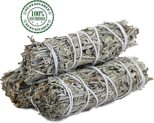 Miniatura 8 de Ancientveda Essential Sage - Paquete de 3 ramas aromáticas