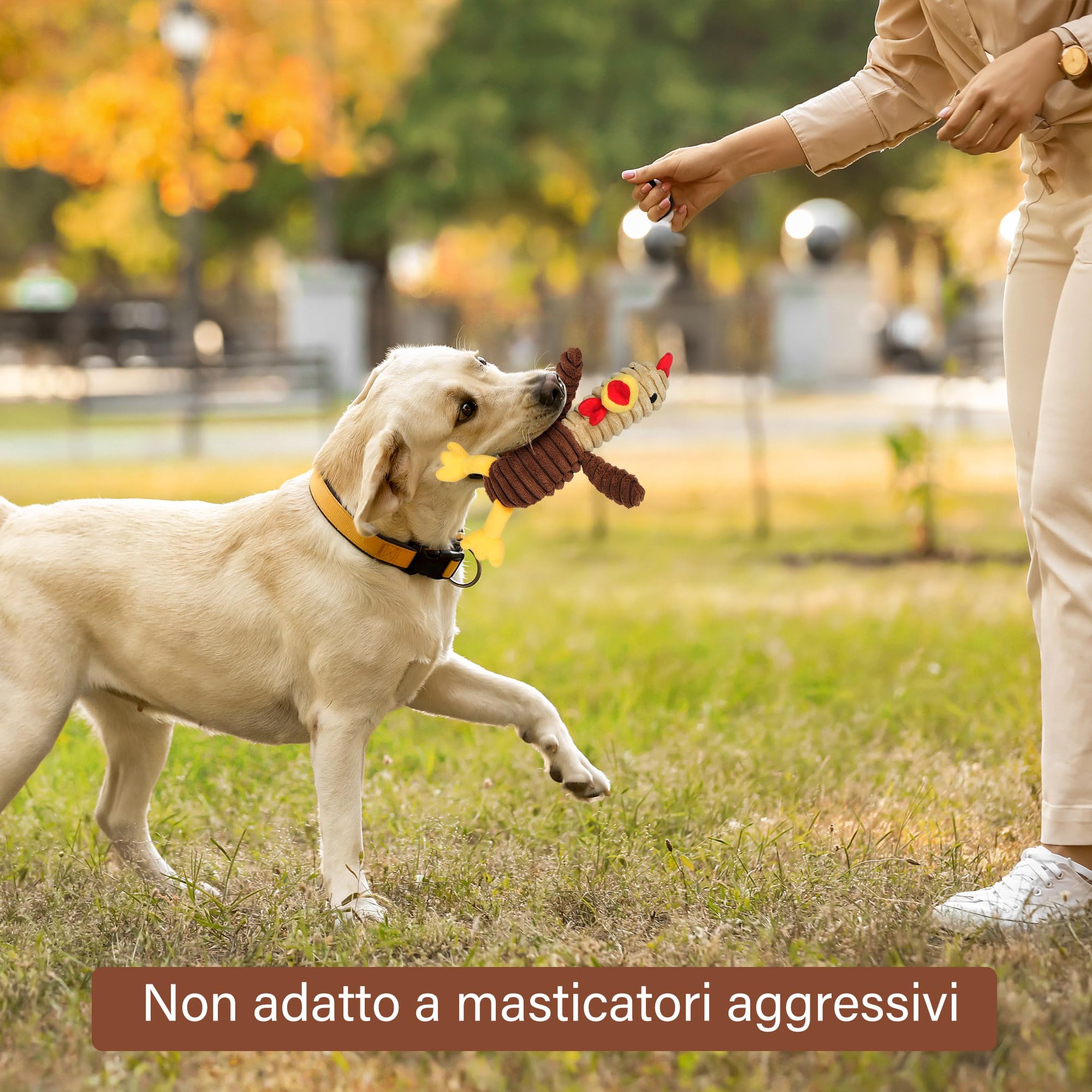 PrimePets Peluche per Cani, 5 Pezzi Giochi Cane con Squeak, Giocattoli per Cani, Peluche Cane, Giocattolo Interattivo (Animali Fattoria)